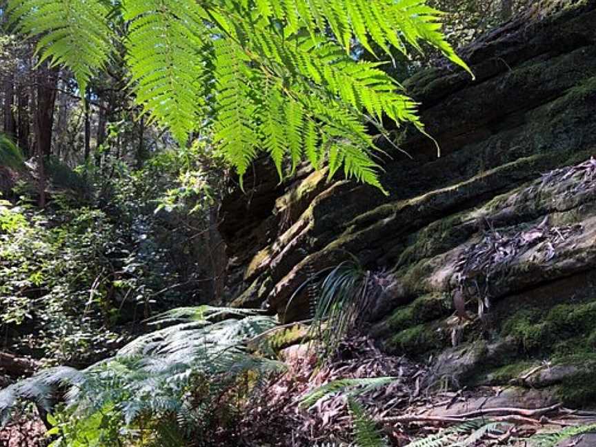 Yoogali Lookout, Blaxland, NSW