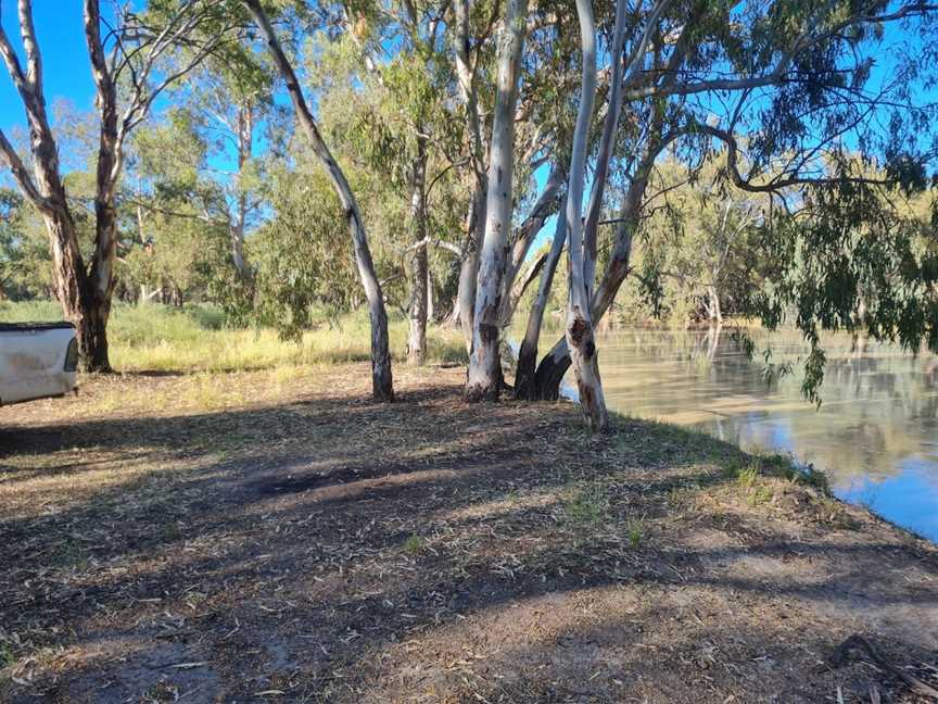 Bilbarka Park, Pooncarie, NSW