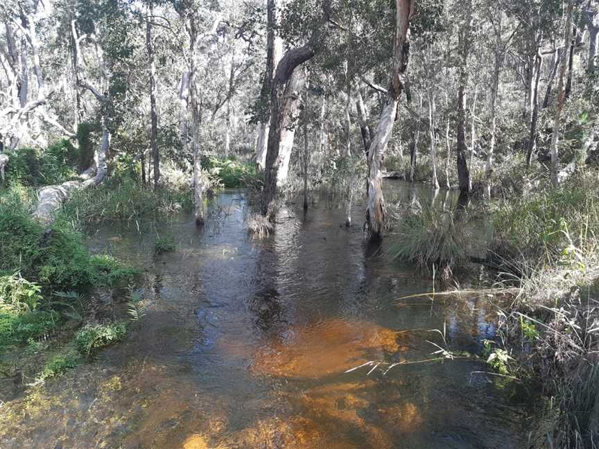 Bingera National Park, Elliott Heads, QLD