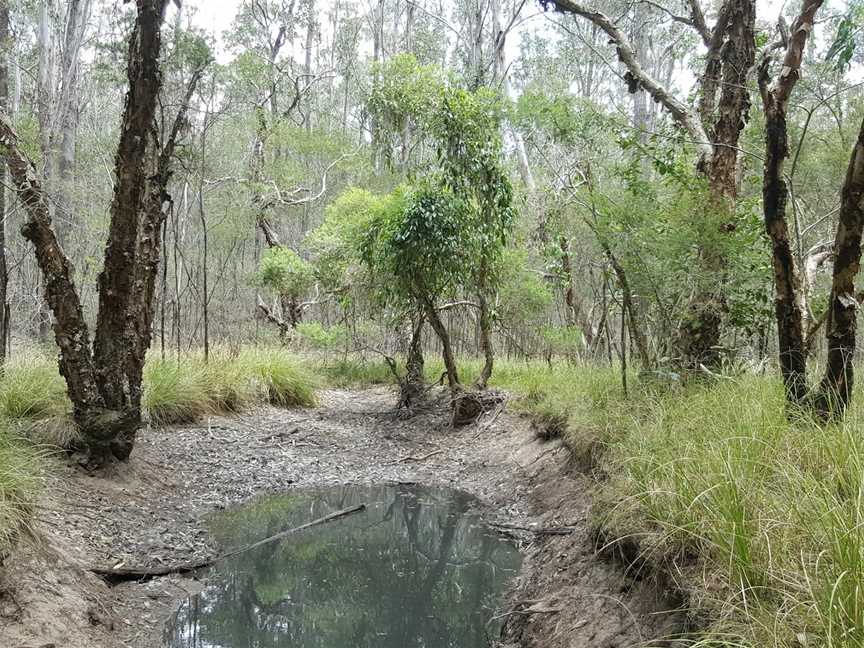 Columbey National Park, Clarence Town, NSW