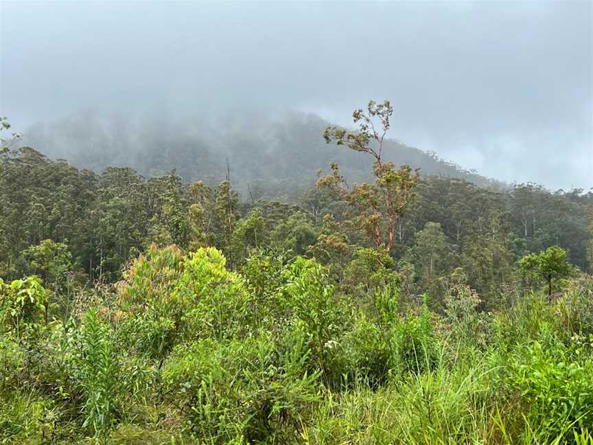 Ghin-Doo-Ee National Park, Upper Crystal Creek, NSW