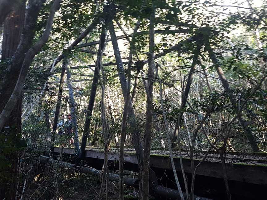 Ghin-Doo-Ee National Park, Upper Crystal Creek, NSW