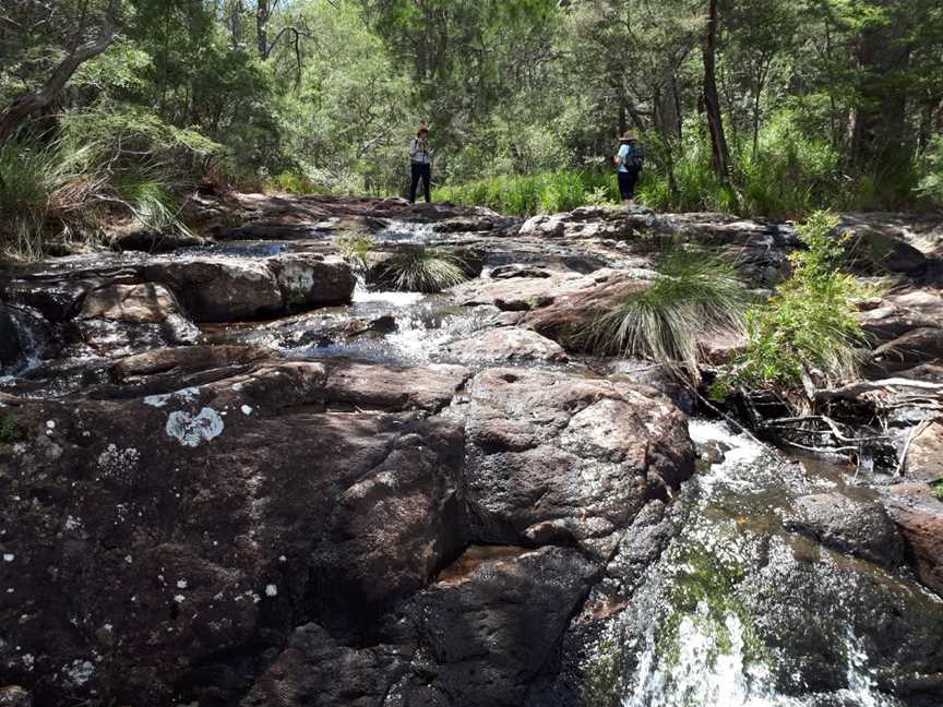 Goonengerry National Park, Mullumbimby, NSW