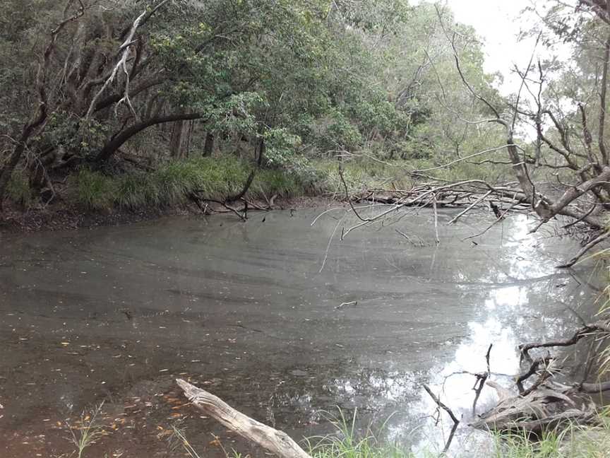 Gympie National Park, Goomboorian, QLD