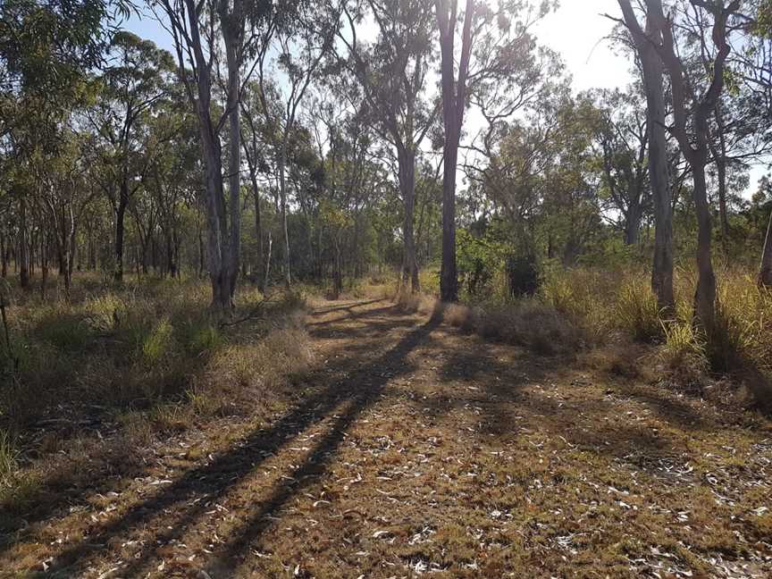 Limestone Creek Conservation Park, Rockhampton, QLD