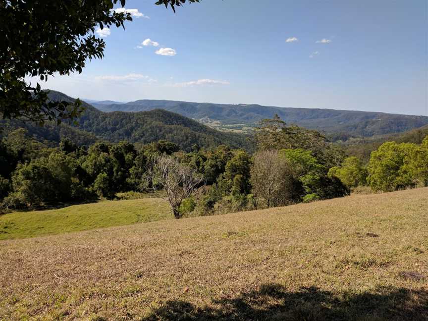 Maleny National Park, Kenilworth, QLD