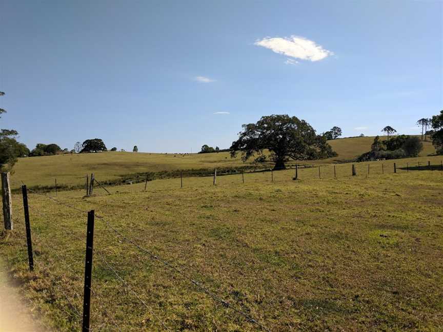 Maleny National Park, Kenilworth, QLD