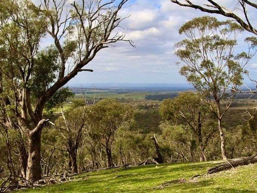 Meville's Lookout Track, Nagambie, VIC