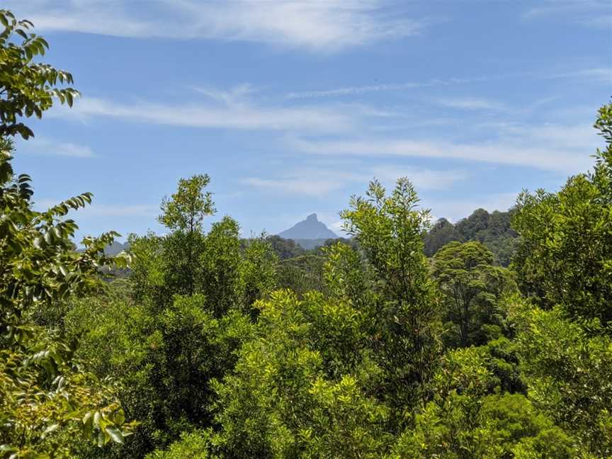 Mooball National Park, Burringbar, NSW