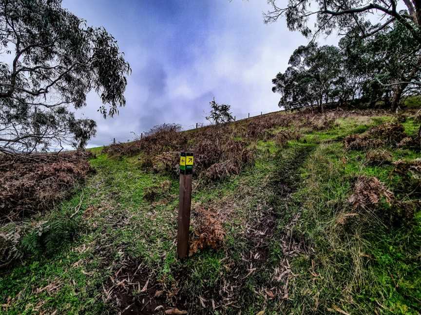 Mount Magnificent Conservation Park, Mount Magnificent, SA