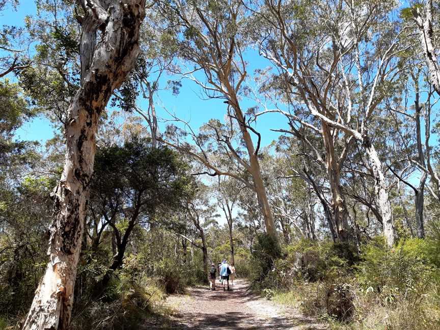 Mooloolah River National Park, Sippy Downs, QLD