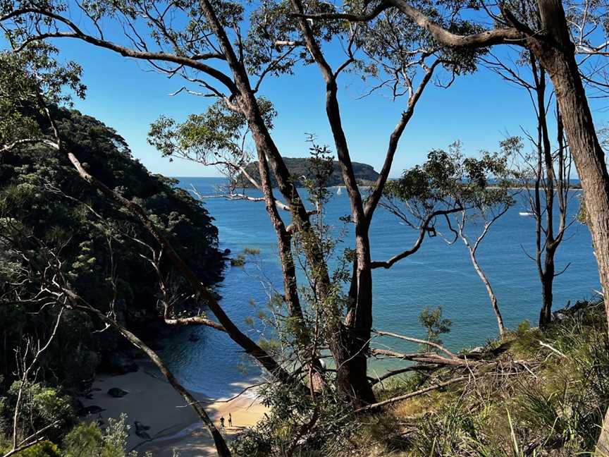 Resolute Beach, Sydney, NSW