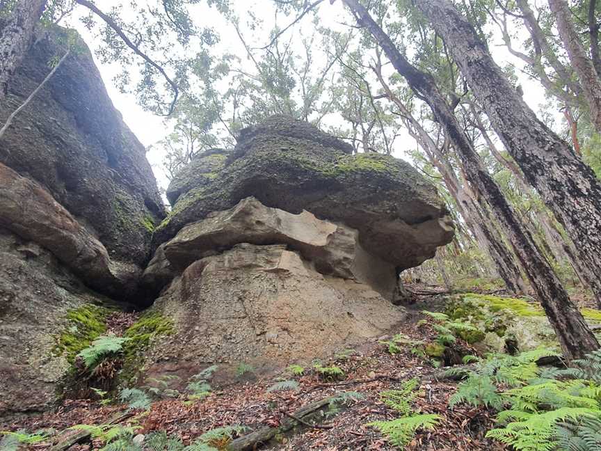 Tarlo River National Park, Taralga, NSW