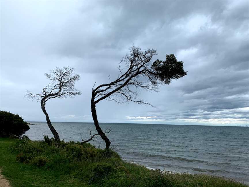 Taylor Reserve, Indented Head, VIC