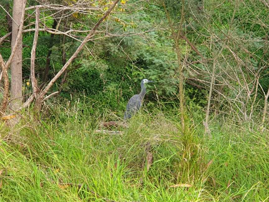 Yallambie Park, Lower Plenty, VIC