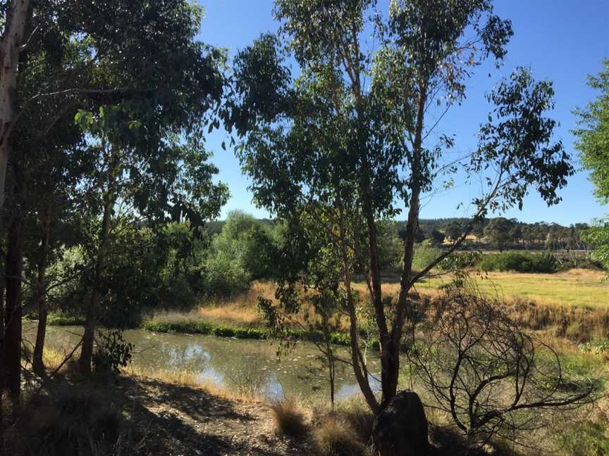 Yarrowee River Trail, Ballarat, VIC