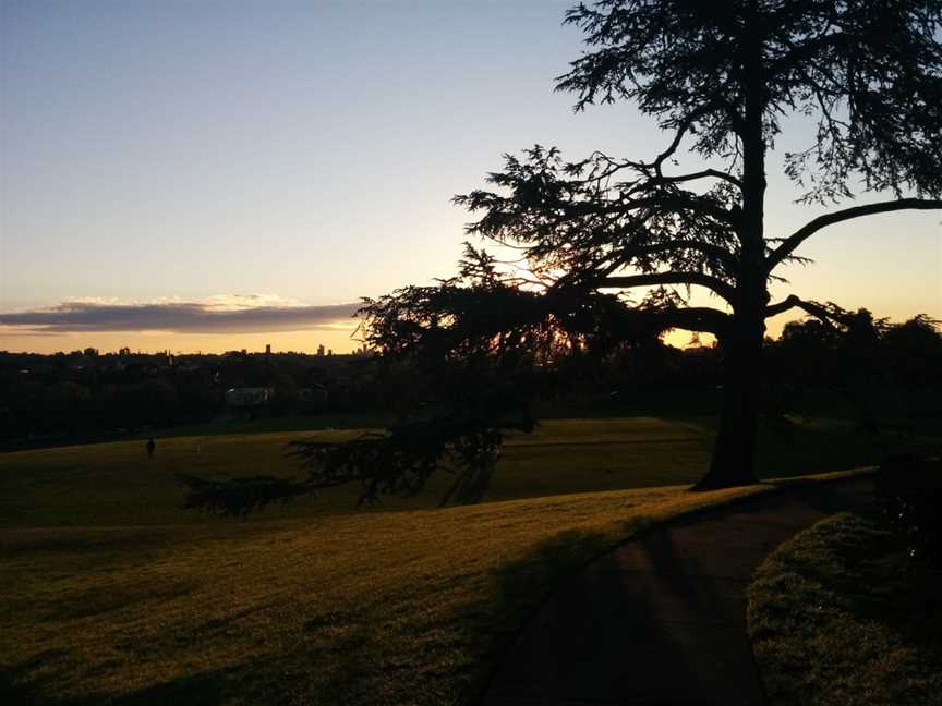 Anderson Park, Brunswick, VIC