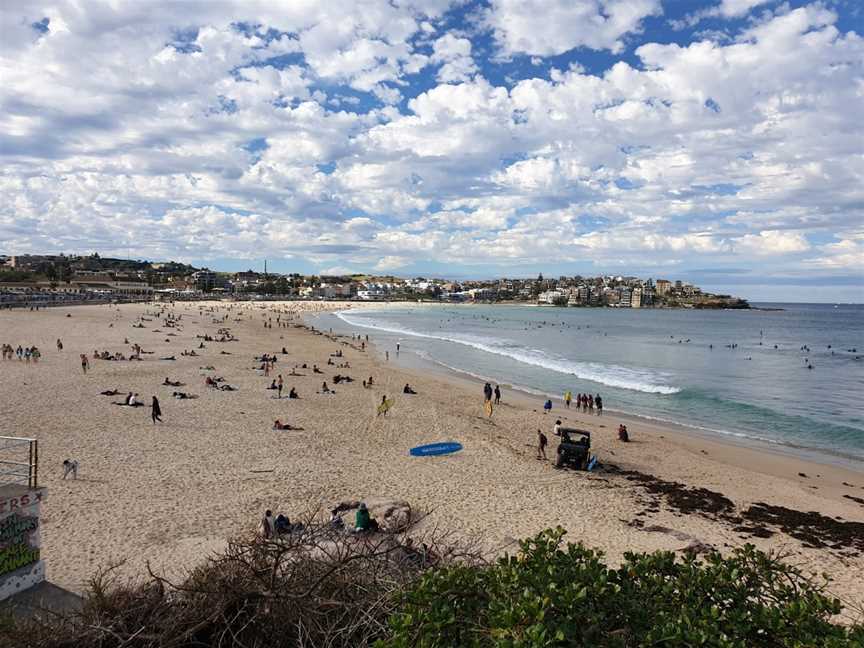 Bondi Beach Park, Bondi Beach, NSW