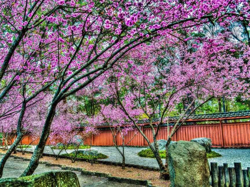 Auburn Botanic Gardens, Auburn, NSW