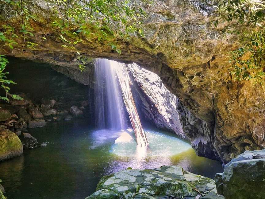 Springbrook National Park, Springbrook, QLD