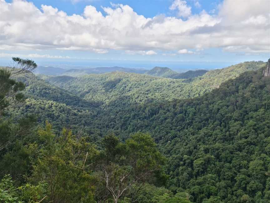 Springbrook National Park, Springbrook, QLD