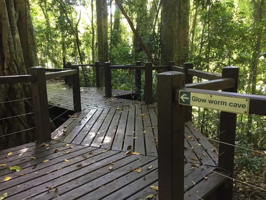 Springbrook National Park, Springbrook, QLD