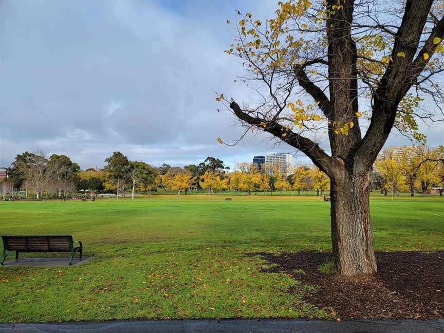 Fawkner Park, South Yarra, VIC