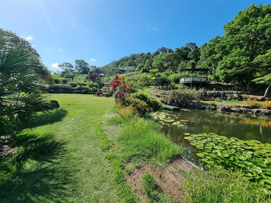 Maleny Botanic Gardens & Bird World, Maleny, QLD