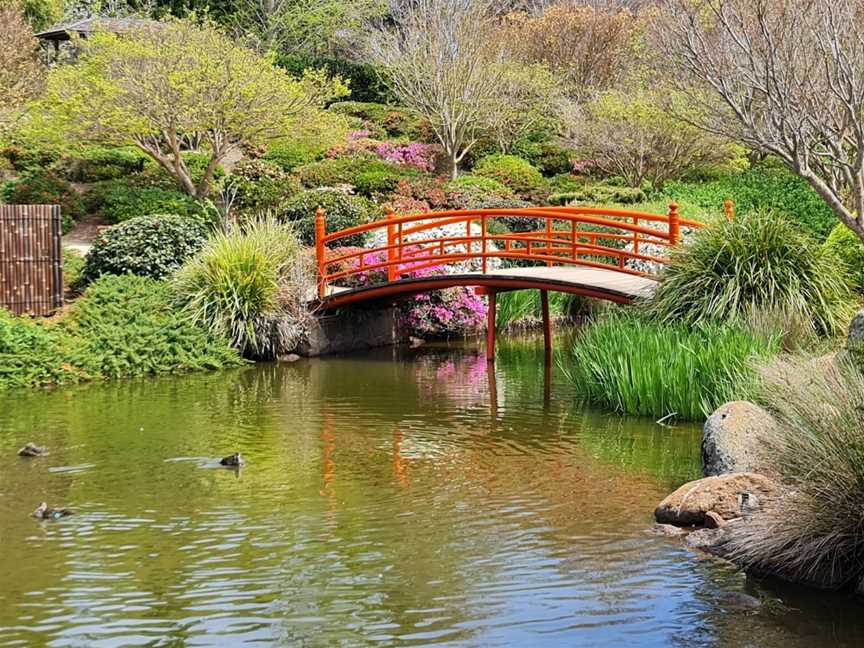 Japanese Gardens USQ QLD, Darling Heights, QLD