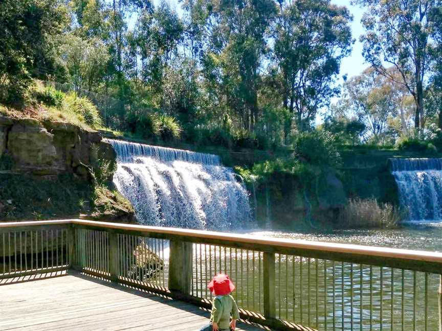 Central Gardens Nature Reserve, Merrylands West, NSW