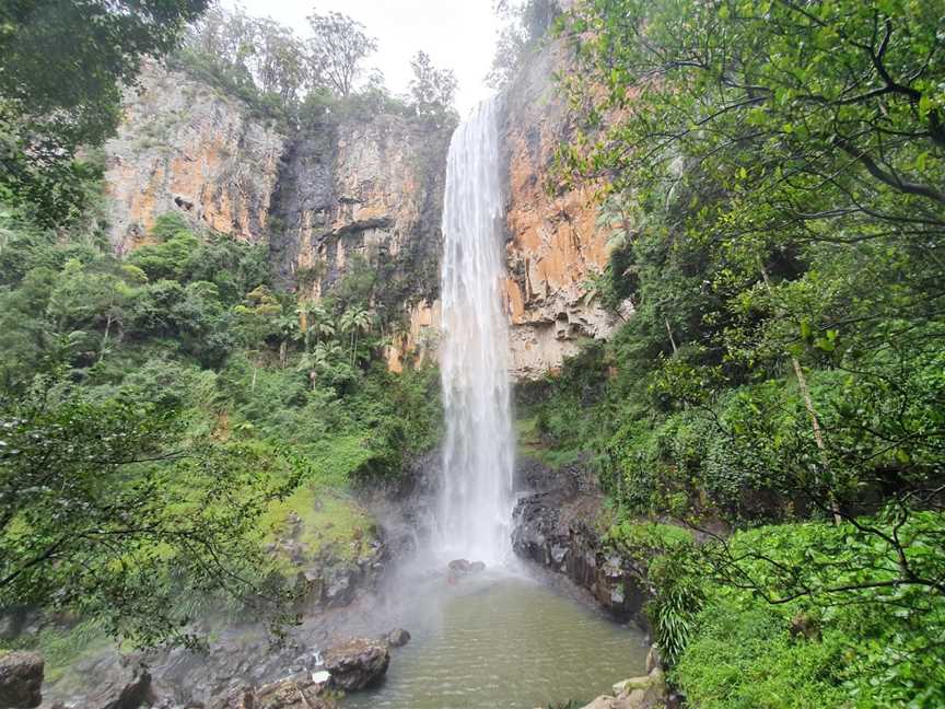 Purling Brook Falls, Springbrook National Park, Springbrook, QLD