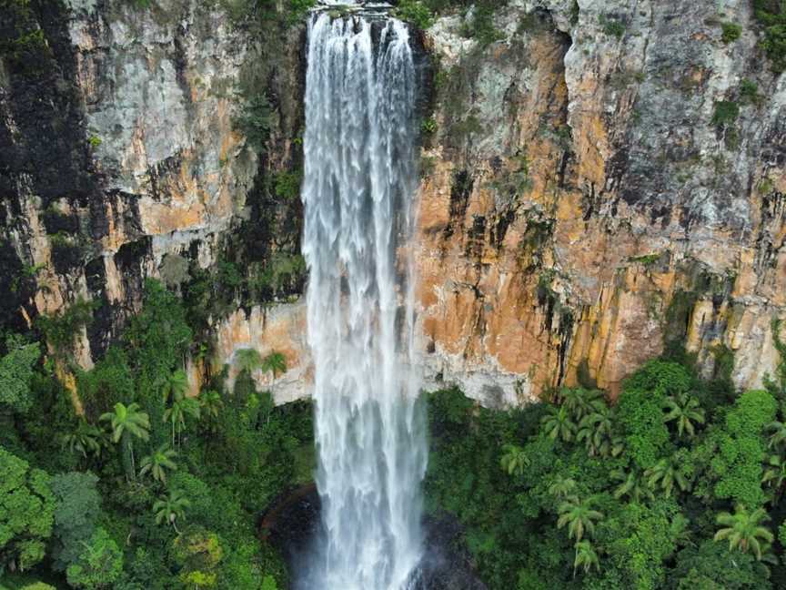 Purling Brook Falls, Springbrook National Park, Springbrook, QLD