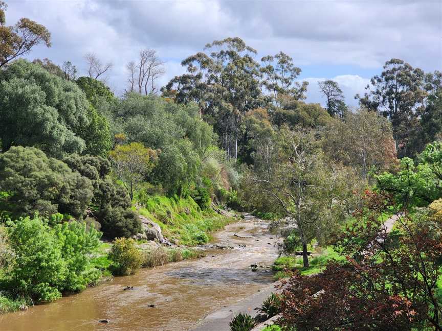 Coburg Lake Reserve, Coburg North, VIC