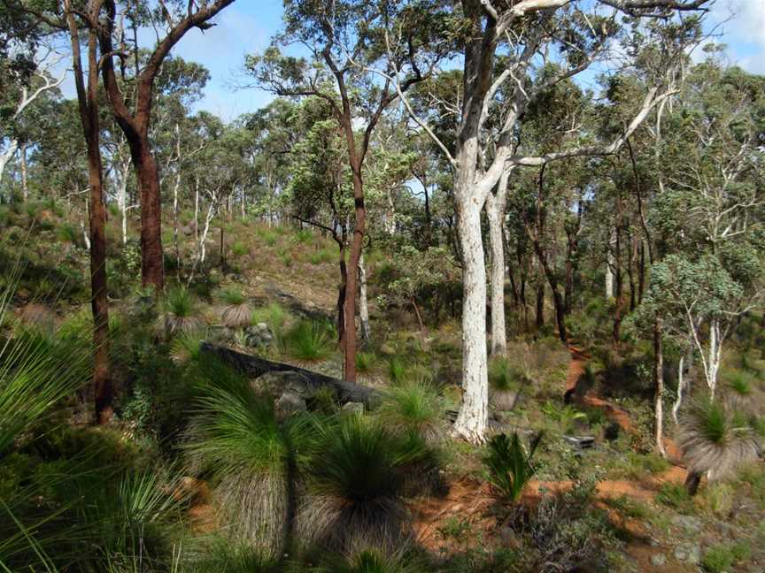 Beelu National Park, Mundaring, WA