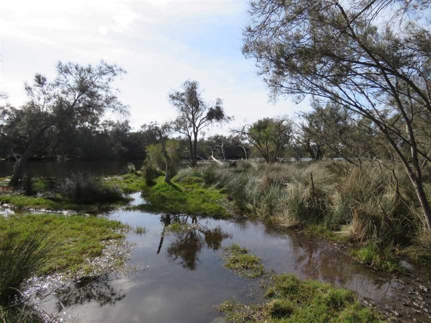 Canning River Regional Park, Ferndale, WA