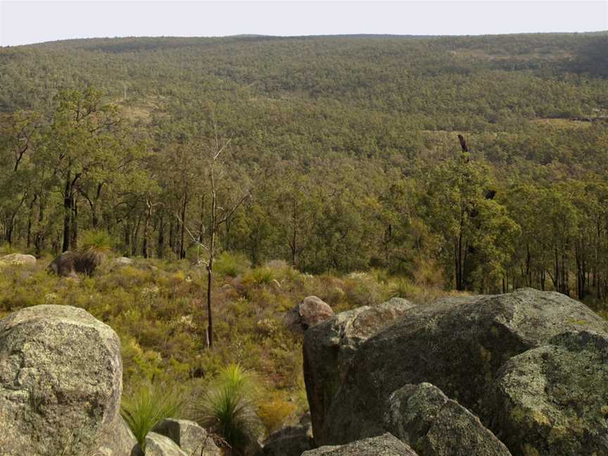 Beelu National Park, Mundaring, WA