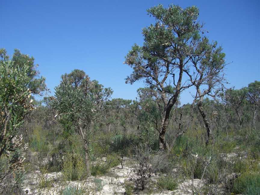 Moore River National Park, Moore River National Park, WA