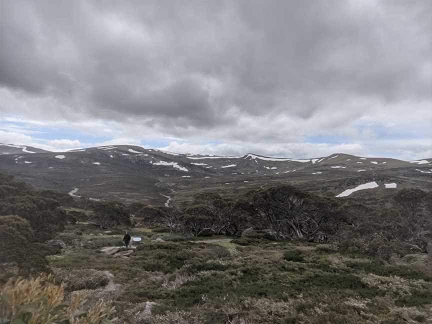 Charlotte Pass lookout, Kosciuszko National Park, NSW