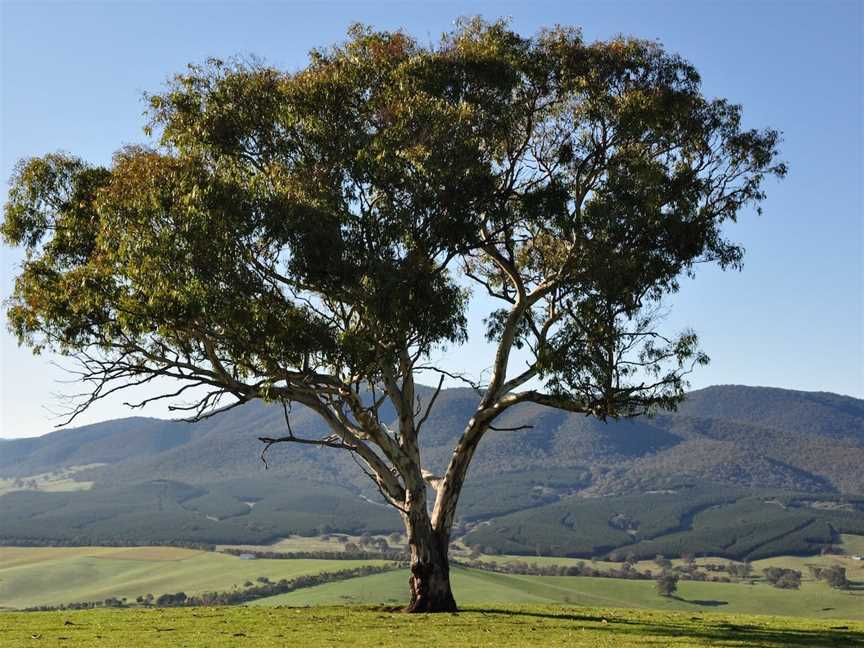 Southern Cloud Memorial Lookout, Maragle, NSW