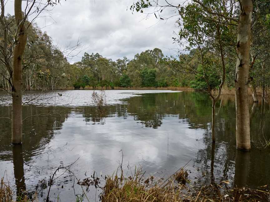 Birrarrung Park, Bulleen, VIC