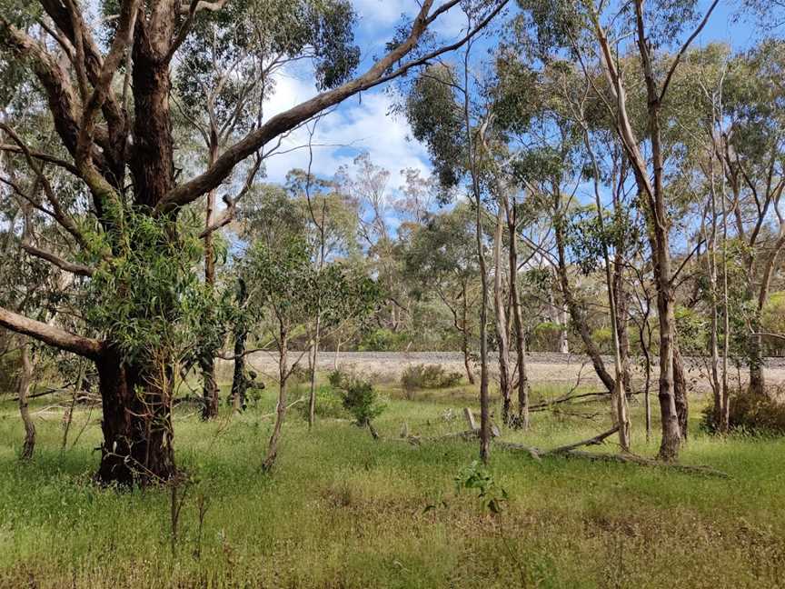 Langi Ghiran State Park, Dobie, VIC