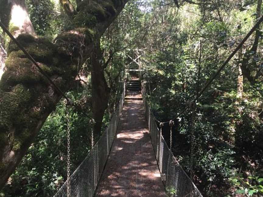 Mackenzie River Rainforest Walk, Club Terrace, VIC