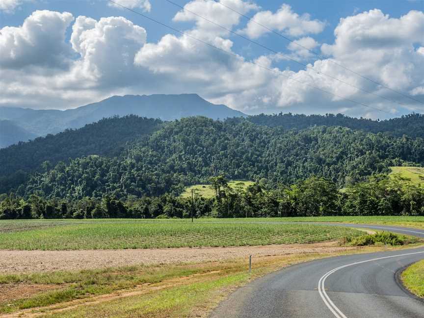 Mt. Bartle Frere, Cairns City, QLD