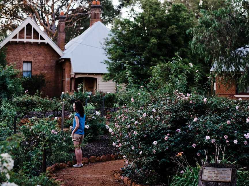 Heritage Rose Garden, Pinjarra, WA