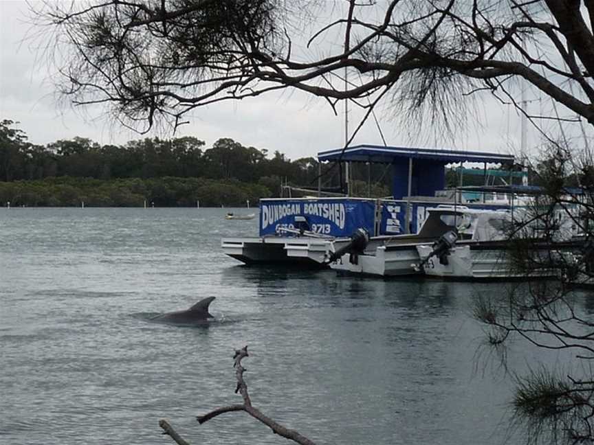 Dunbogan Boatshed and Marina, Dunbogan, NSW