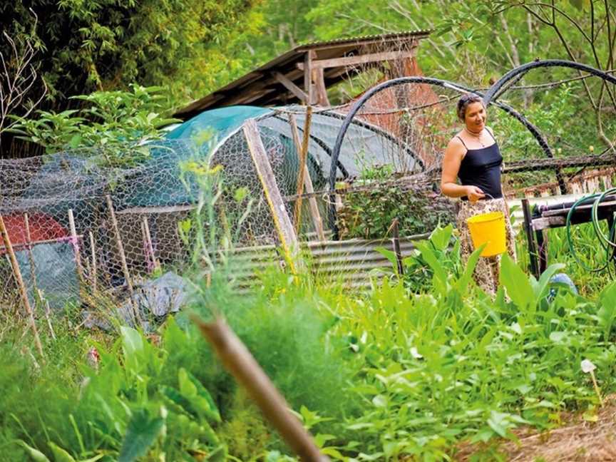 Djanbung Permaculture Gardens, Nimbin, NSW