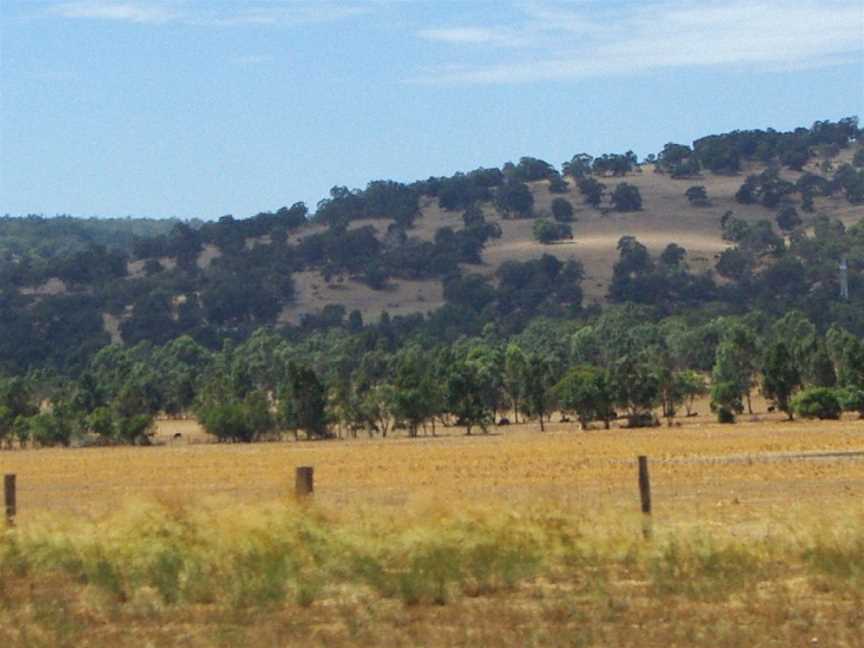 Darling Range, Mundaring, WA