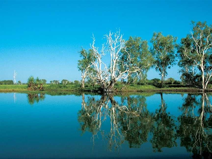 Yellow Water, Jabiru, NT