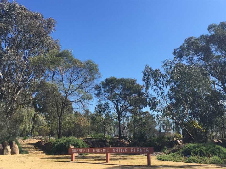 Grenfell Endemic Garden, Grenfell, NSW