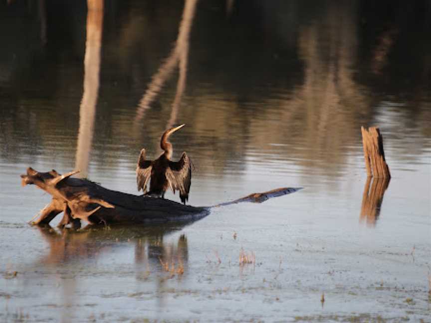 Nuga Nuga National Park, Rolleston, QLD